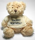 Teddy Bear Royalty Free Stock Photo