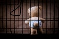 Teddy bear abandoned in jail Royalty Free Stock Photo