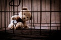 Teddy bear abandoned in jail Royalty Free Stock Photo