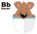 Teddy bear and abc Royalty Free Stock Photo