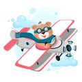 Teddy bear pilot flies on an airplane