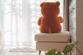 Teddy bear alone in the house with sun light and white curtain Royalty Free Stock Photo