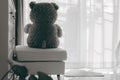 Teddy bear alone in the house with sun light and white curtain Royalty Free Stock Photo