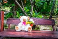 Teddy bear Royalty Free Stock Photo