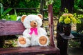 Teddy bear Royalty Free Stock Photo