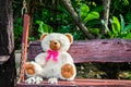 Teddy bear Royalty Free Stock Photo