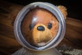 Teddy Bear Astronaut Real Face Object Children Toy White Space S