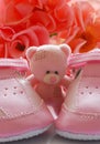 Teddy bear and baby's shoes