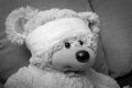 Teddy bear with a bandage on his head. The concept of trauma in a child, black and white