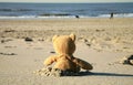 Teddy bear on the beach
