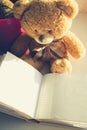 Teddy bear