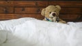 teddy bear in blue shirt on a bed Royalty Free Stock Photo