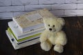 Teddy bear with books on white bricks background Royalty Free Stock Photo