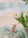 Teddy bear and a bouquet Royalty Free Stock Photo