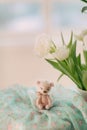 Teddy bear and a bouquet Royalty Free Stock Photo