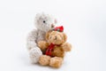 Teddy bear brothers and sisters hugging each other isolated on white background with copy space. Love, families, valentine concept