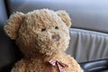 Teddy Bear Brown close up Lonely Feel In My Car