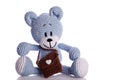 teddy bear with brown school bag