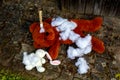 Teddy bear and bunny lying on the floor destroyed with a knife Royalty Free Stock Photo