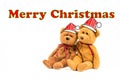 Teddy bear with callout symbol and message `merry christmas`