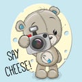 Teddy Bear with a camera on a cheese background