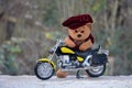 Teddy Bear with cap stands behind a motorcycle Royalty Free Stock Photo