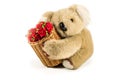 Teddy bear carrying bamboo basket full of red roses Royalty Free Stock Photo