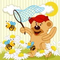 Teddy bear catching bee