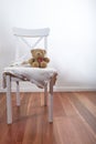 Teddy bear on chair