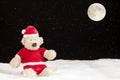 Teddy bear in christmas clothes in the snow