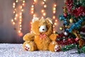 Teddy Bear in Christmas and Multi colored balls on christmas tree Royalty Free Stock Photo