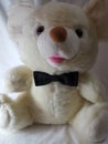 Teddy bear Closeup Royalty Free Stock Photo