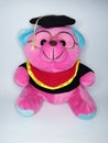 Pink teddy bear wearing a graduation gown and glasses on a white background Royalty Free Stock Photo