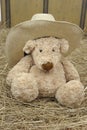 Teddy bear with cowboy ha Royalty Free Stock Photo