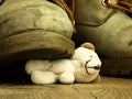 Teddy bear crushed by a heavy, old military boot.