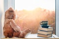 Teddy bear with cup of coffee. Cute  stuffed toy with cup of tea and books sitting on window. Good morning concept. Autumn sad Royalty Free Stock Photo