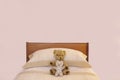 Teddy bear cute vintage on bed duvet bedroom interior pink blank wall Royalty Free Stock Photo