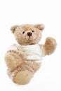 Teddy bear doll Royalty Free Stock Photo