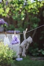 Teddy bear and doll dresses drying on the rope in summer garden Royalty Free Stock Photo