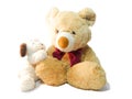 Teddy bear doll puppy Royalty Free Stock Photo