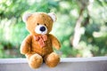 Teddy bear doll with green nature background Royalty Free Stock Photo