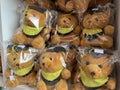 Teddy bear dolls with graduation costume in a plastic wrap Royalty Free Stock Photo