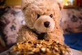 Teddy bear Dranik and cake Royalty Free Stock Photo