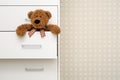 Teddy bear in dresser