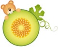 Teddy bear eating cantaloupe melon slice Royalty Free Stock Photo