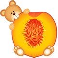 Teddy bear eating a peach slice