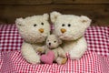 Teddy bear family with a baby lying in a red checkered bed. Royalty Free Stock Photo