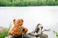 Teddy bear fisherman. Brown teddy bear sits by the lake with a fishing rod and catches fish Royalty Free Stock Photo