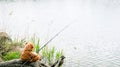 Teddy bear fisherman. Brown teddy bear sits by the lake with fishing rod and catches fish Royalty Free Stock Photo