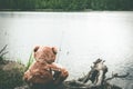 Teddy bear fisherman. Brown teddy bear sits by the lake with a fishing rod and catches fish Royalty Free Stock Photo